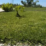 Vallianos D *